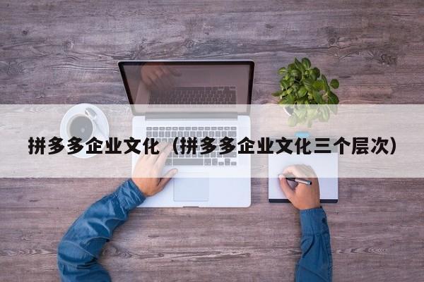 拼多多企业文化（拼多多企业文化三个层次）