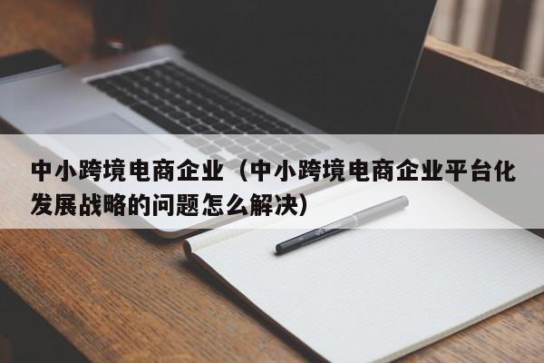 中小跨境电商企业（中小跨境电商企业平台化发展战略的问题怎么解决）