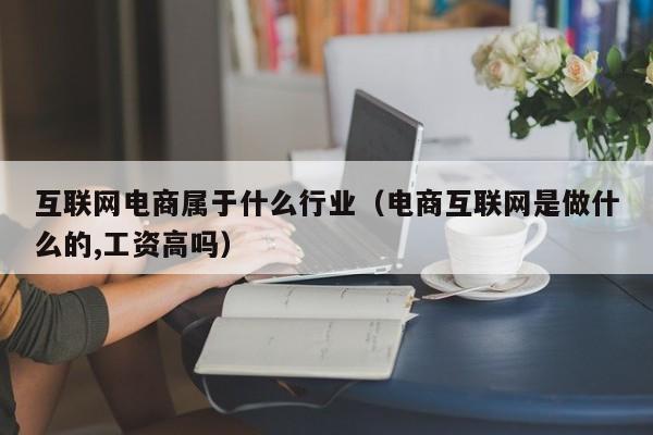 互联网电商属于什么行业（电商互联网是做什么的,工资高吗）