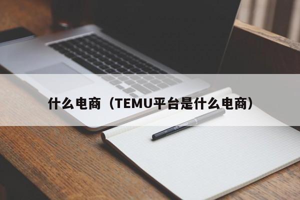 什么电商（TEMU平台是什么电商）