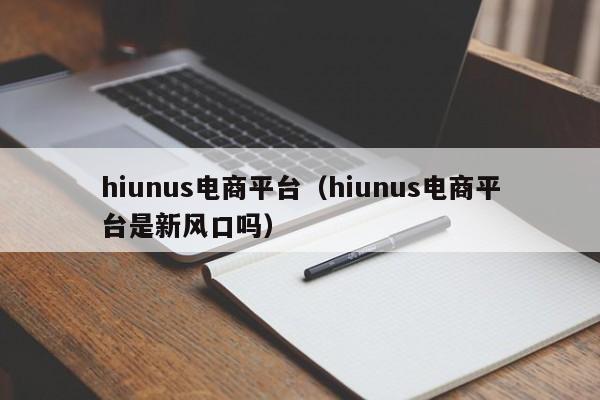 hiunus电商平台（hiunus电商平台是新风口吗）