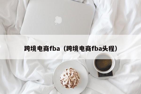 跨境电商fba（跨境电商fba头程）