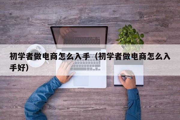 初学者做电商怎么入手（初学者做电商怎么入手好）