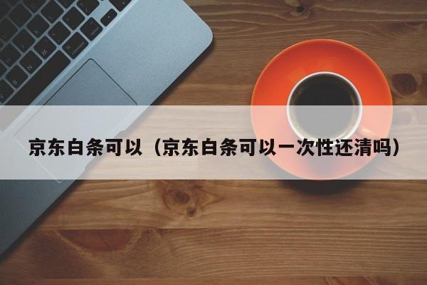 京东白条可以（京东白条可以一次性还清吗）